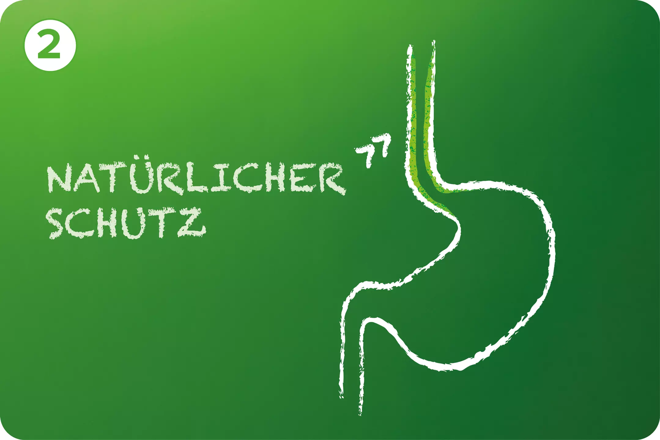 illustration-natuerlicher-schutz-legt-sich-auf-speiseröhre